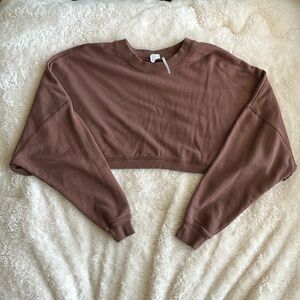 Urban Outfitters Cropped Brown Sweatshirt
